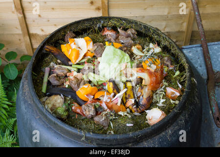 An open compost bin showing the recycling of fruit and vegetable peelings and teabags for garden compost Stock Photo