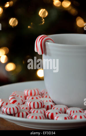 Candy Canes and Peppermints in Winter Mug in Front of Christmas Tree Stock Photo