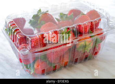 Fresh strawberries back lit in a clear plastic box on a marble backdrop. Stock Photo