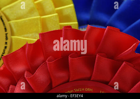 Labour,Lib Dem and Conservative election rosettes in close up. General Election concept Stock Photo