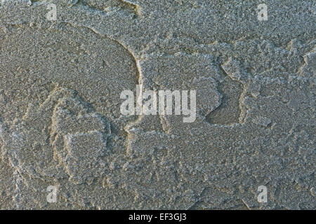 Frosty flagstone. Stock Photo