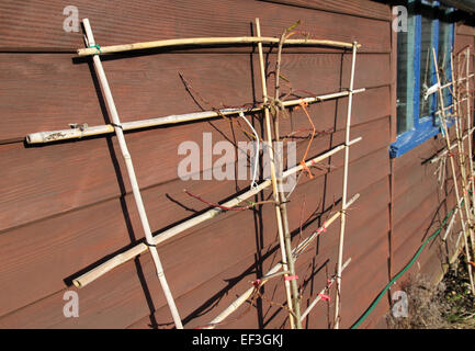 garden shed growing frame Stock Photo