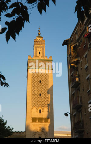 The Grand Mosque of Paris, France. Stock Photo