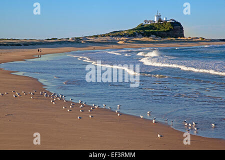 Nobby's Lighthouse and seagulls on the beach at Newcastle, New South Wales, Australia Stock Photo