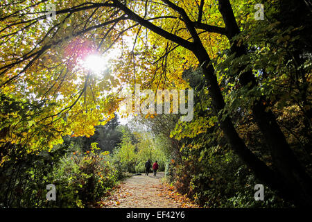 Couple walking on a trail on a beautiful autumn day with changing leaves and sunshine in British Columbia Canada Stock Photo