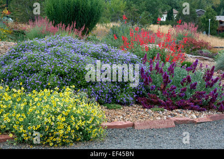 Xeriscape garden Stock Photo