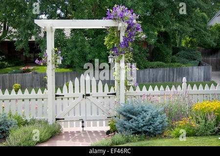 garden gate with Clematis jackmanii Stock Photo