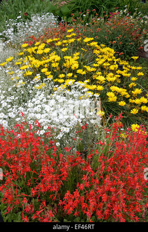 Xeriscape flower bed Stock Photo