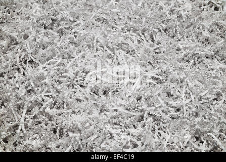 Crumpled and  Crinkled Paper Strip Background. Stock Photo