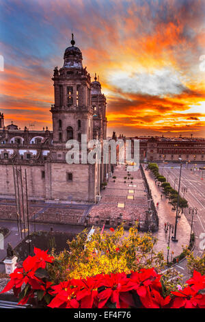 Metropolitan Cathedral Christmas in Zocalo, Center of Mexico City Mexico Sunrise Stock Photo