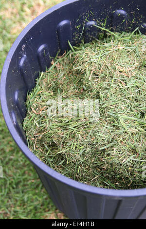 Freshly Cut Grass cuttings in compost bin Stock Photo