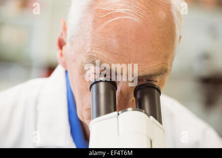 Senior scientist working with microscope Stock Photo