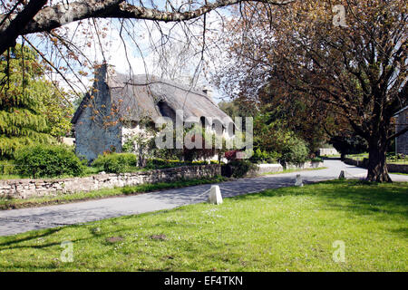 Thatched Cottage Stock Photo