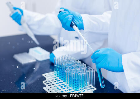 Science students using pipettes to fill test tubes Stock Photo