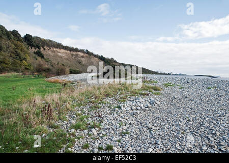 Cold Knap pebble beach at Porthkerry Country Park, Barry, Vale of Glamorgan, Wales Stock Photo