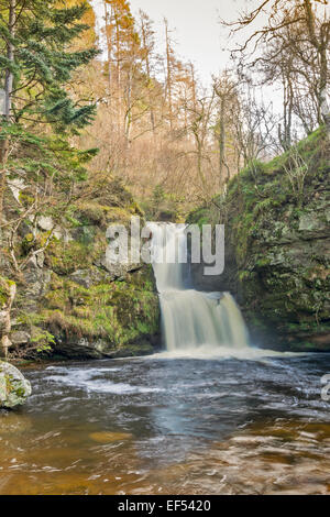 ABERLOUR STREAM OR BURN WITH DOUBLE WATERFALL RUNNING PAST THE DISTILLERY IN A JANUARY SPATE Stock Photo