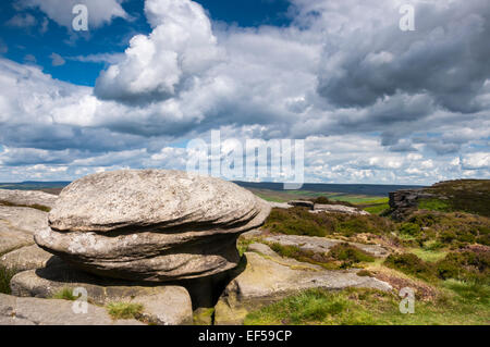 Windblown rocky boulder on the northern end of Stanage edge in the Peak District, Derbyshire. Stock Photo