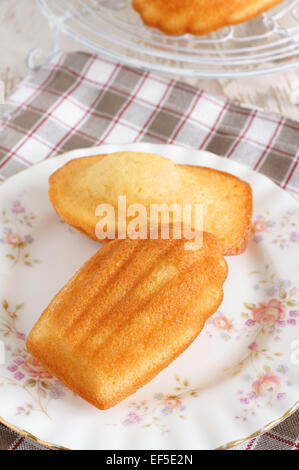 Madeleines or petite madeleine a traditional cake from the Lorraine region of France Stock Photo