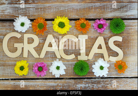 Gracias written with wooden letters on rustic surface and colorful santini flowers Stock Photo