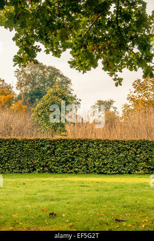 Hedge in a park at autumn Stock Photo