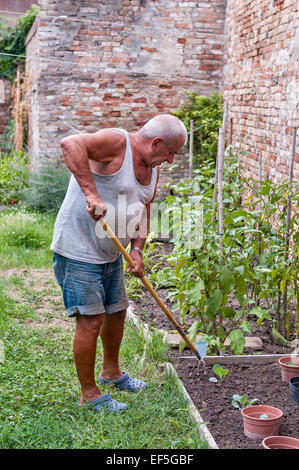 An elderly Italian man working on his allotment garden in Venice, Italy Stock Photo