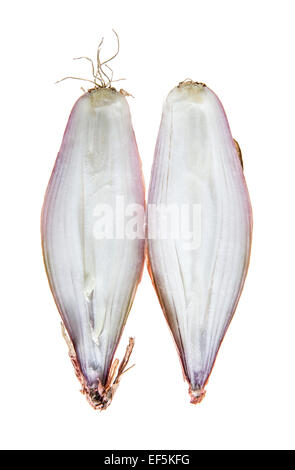 Two halves of fresh shallots Stock Photo