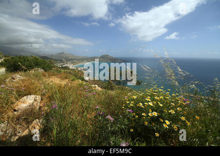 YELLOW DAISIES BAY BEACH & MEDITERRANEAN PLAKIAS CRETE GREECE 29 April 2014 Stock Photo