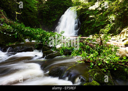 glenoe waterfall in county antrim ireland Stock Photo