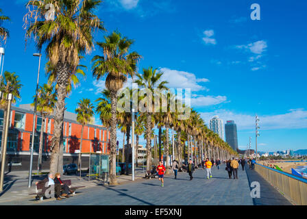 Barceloneta Beach, Barcelona Stock Photo - Alamy