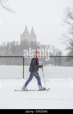 New York, USA. 27th Jan, 2015. A man skis in the Central Park in Manhattan of New York City, the United States, Jan. 27, 2015. Most travel bans were lifted and transit services gradually resumed Tuesday morning in New York area after a snowstorm whose impact is far less than expected for most of the area. Credit:  Li Changxiang/Xinhua/Alamy Live News Stock Photo