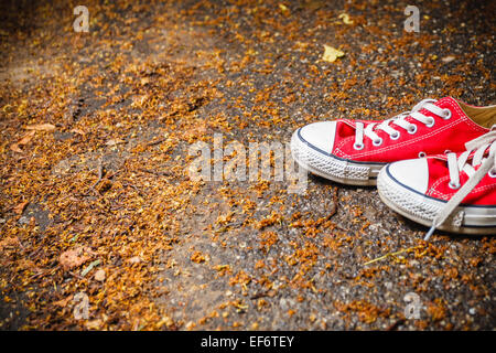 Walk in park in autumn. Red sneakers with white laces. Outdoor activities. Stock Photo