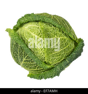 Savoy cabbage isolated on white background Stock Photo