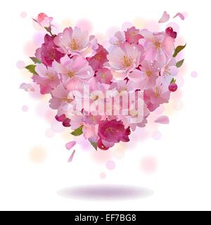 Vector spring background with gentle heart from cherry flowers and petals,isolated on the white background Stock Vector