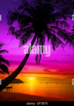 Palm tree silhouette on tropical beach at sunset. Stock Photo