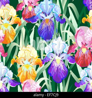 Vector seamless pattern with violet,orange and vinous Iris flowers on the white background Stock Vector