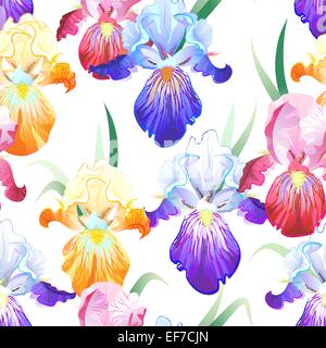 Vector seamless pattern with bright multicolored Iris flowers and hummingbirds Stock Vector