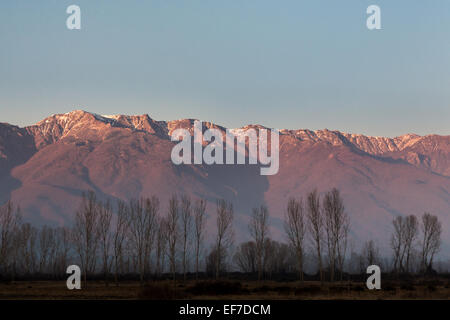 Poplar trees in winter silhouetted against an illuminated Belles mountains in Northern Greece at sunset Stock Photo