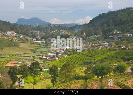 VIEW ACROSS NUWARA ELIYA TEA PLANTATIONS IN THE SOUTHERN HILL COUNTRY Stock Photo