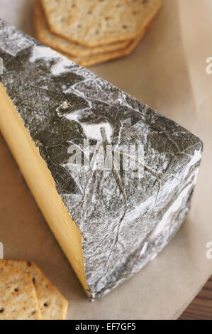 Cornish Yarg Cheese semi-hard cheese wrapped in nettle leaves made in Cornwall England Stock Photo