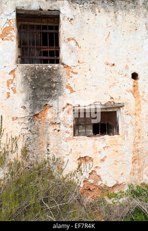 Windows of an old house in the woods Stock Photo