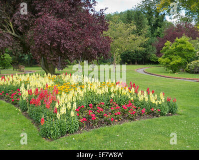 ANTIRRHINUM, GERANIUM AND CALENDULA BED IN MEMORIAL GARDEN OF SOUTH WEST MIDDLESEX CREMATORIUM Stock Photo