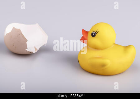 Beautiful yellow small plastic duck with egg isolated on a white background Stock Photo