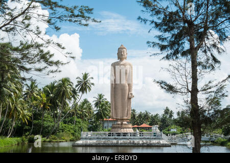 Paid by Japanese Huge Buddha statue,known as Tsunami Honganji Vihara in hamlet of Peraliya, north of Hikkaduwa,south Sri Lanka. Stock Photo