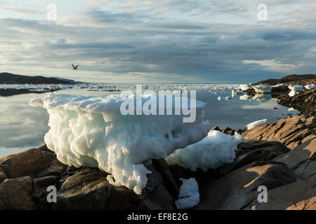 Canada, Nunavut Territory, Melting iceberg stranded by low tide along Frozen Channel at northern edge of Hudson Bay near Arctic Stock Photo