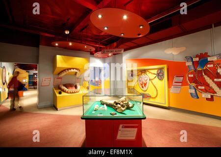 Thackray Medical Museum interior shot of themed areas Stock Photo