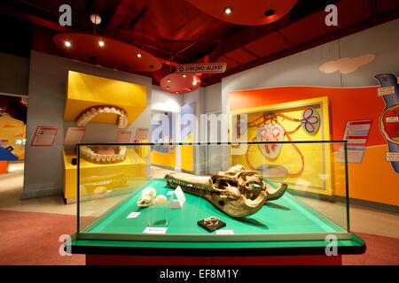 Thackray Medical Museum interior shot of themed areas Stock Photo