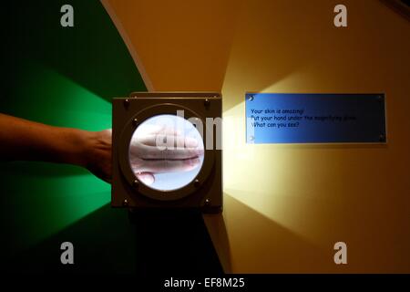 Thackray Medical Museum interior shot of themed areas Stock Photo