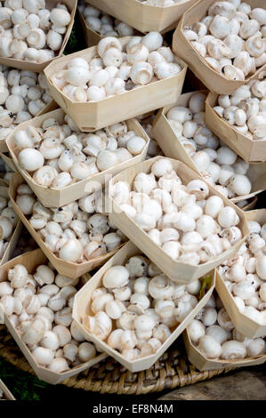 Baskets of button mushrooms on a market stall at Borough Market, Southwark, London Stock Photo