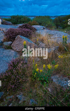 Rocks, coastline at Ramsvik, near Smögen, Bohuslän province, Västra ...