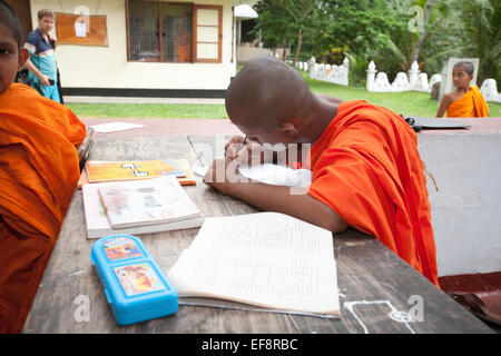 BUDDHIST MONKS STUDYING AT TEMPLE SCHOOL NEAR UNAWATUNA Stock Photo